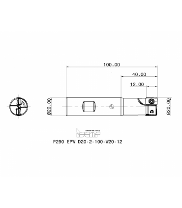 P290 EPW D20-2-100-W20-12