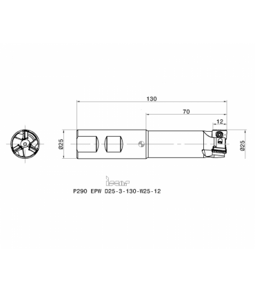 P290 EPW D25-3-130-W25-12