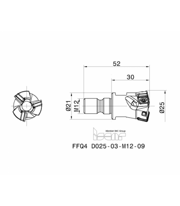 FFQ4 D025-03-M12-09