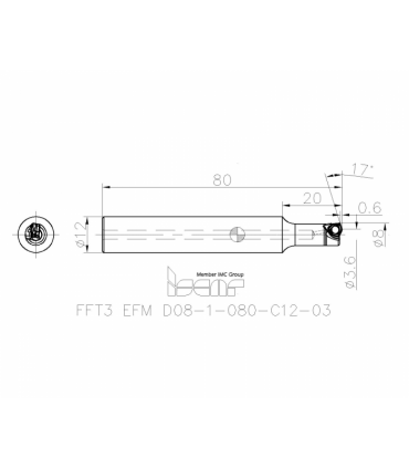 FFT3 EFM D08-1-080-C12-03