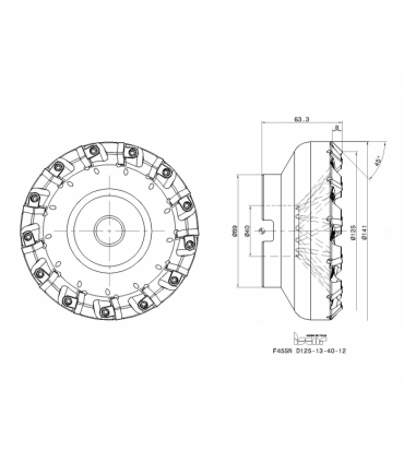 F45SN D125-13-40-12