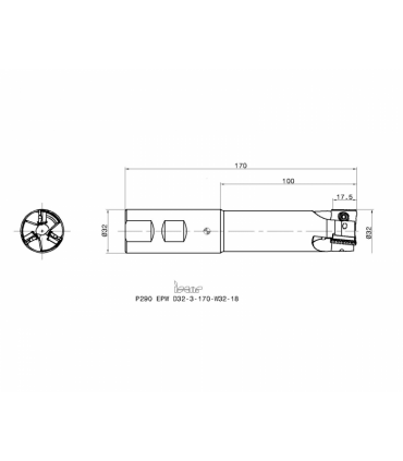 P290 EPW D32-3-170-W32-18