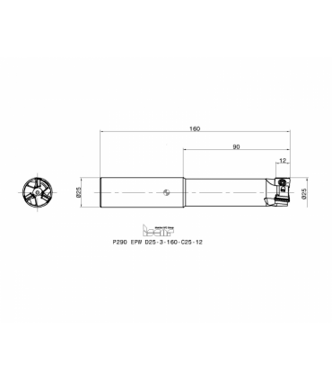 P290 EPW D25-3-160-C25-12