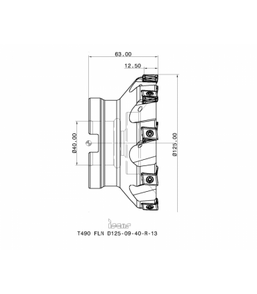 T490 FLN D125-09-40-R-13
