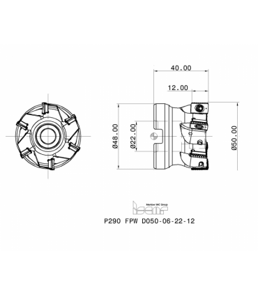 P290 FPW D050-06-22-12