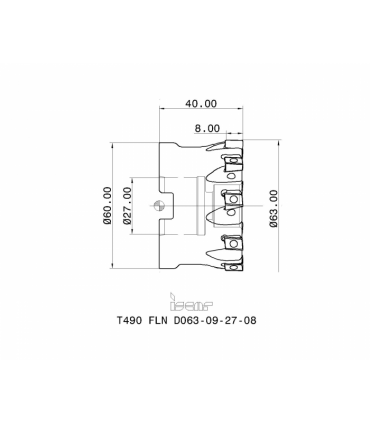 T490 FLN D063-09-27-08