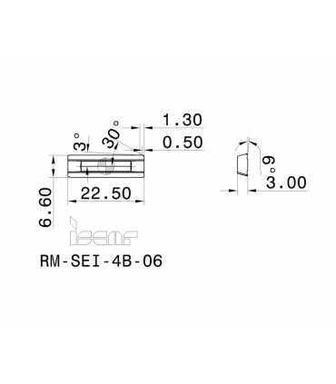 RM-SEI-4B-06 IC907