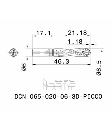 DCN 065-020-06-3D-PICCO