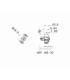 HCP 183-IQ IC908