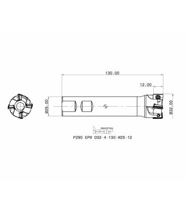 P290 EPW D32-4-130-W25-12