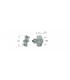 ICN 170 IC08