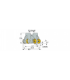 FF NM D080-06-27-R08