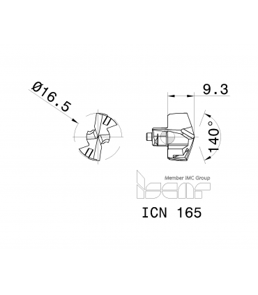 ICN 165 IC08