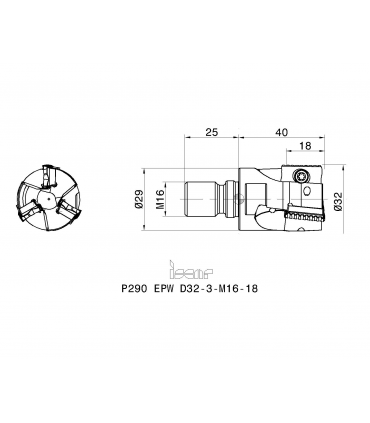 P290 EPW D32-3-M16-18
