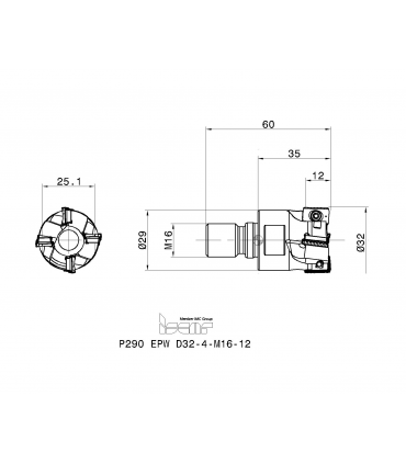 P290 EPW D32-4-M16-12