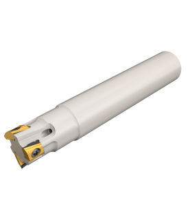 T290 ELN D08-01-C08-05