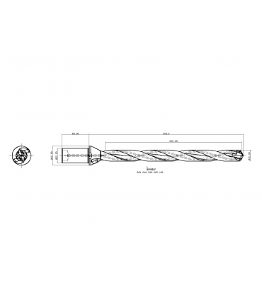 DCN 250-300-32R-12D