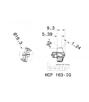 HCP 163-IQ IC908
