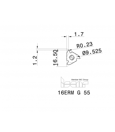 16ERM G 55         IC908