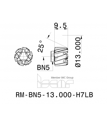 RM-BN5-13.000-H7LB IC908