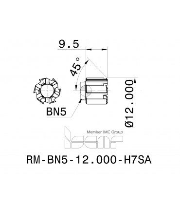 RM-BN5-12.000-H7SA IC908