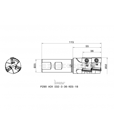 P290 ACK D32-3-36-W25-18