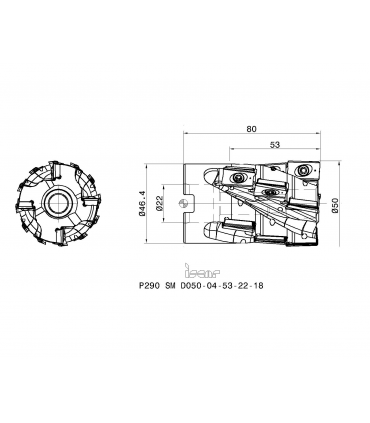 P290 SM D050-04-53-22-18