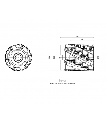 P290 SM D080-06-71-32-18