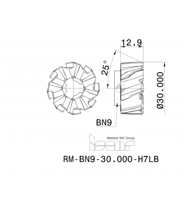 RM-BN9-30.000-H7LB IC908