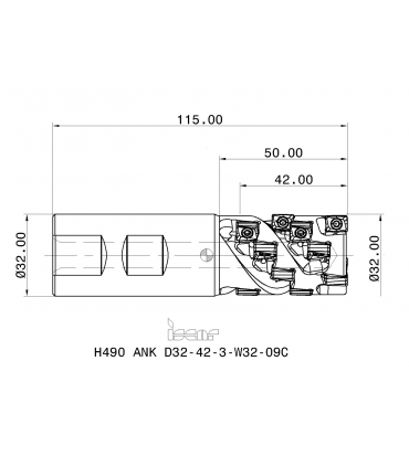H490 ANK D32-42-3-W32-09C