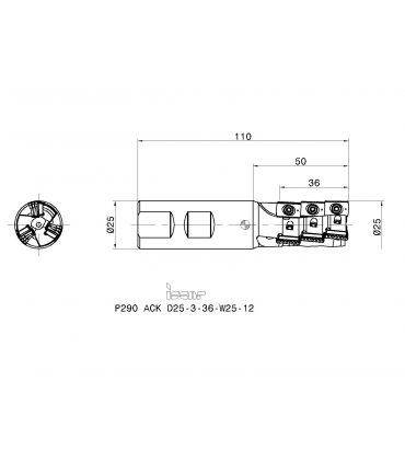 P290 ACK D25-3-36-W25-12