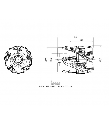 P290 SM D063-05-53-27-18