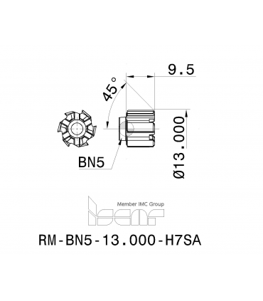 RM-BN5-13.000-H7SA IC908