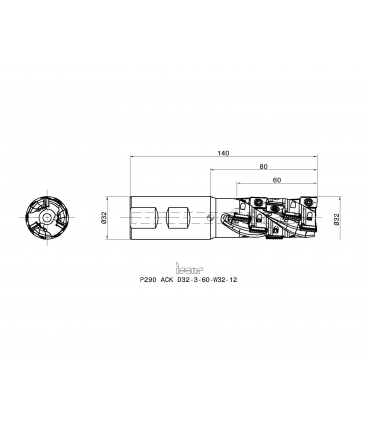 P290 ACK D32-3-60-W32-12