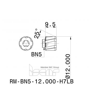 RM-BN5-12.000-H7LB IC908