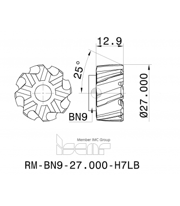 RM-BN9-27.000-H7LB IC908