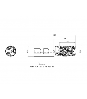 P290 ACK D32-3-48-W32-12