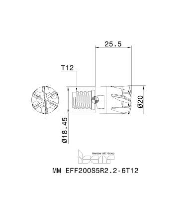 MM EFF200S5R2.2-6T12 IC903