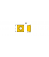 SOMX 060304-DT IC5500