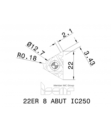 22ER 8 ABUT        IC250