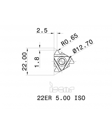 22ER 5.00 ISO      IC250