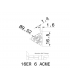 16ER 6 ACME         IC250
