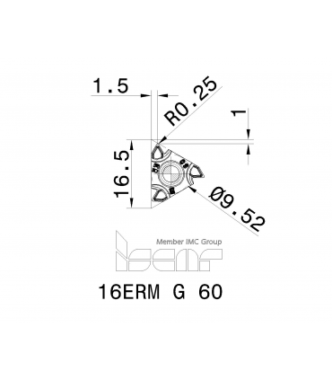 16ERM G 60         IC1007