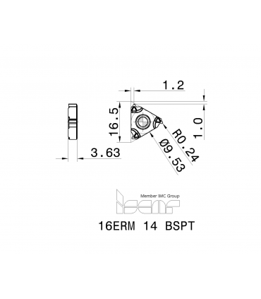 16ERM 14 BSPT      IC1007