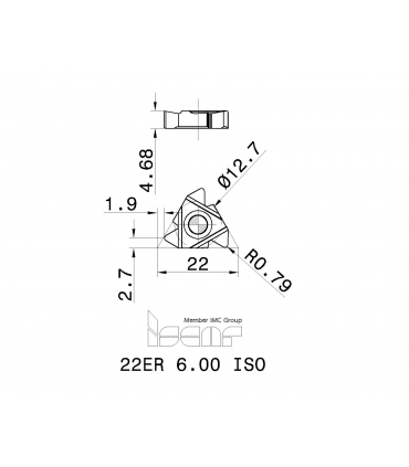 22ER 6.00 ISO      IC250