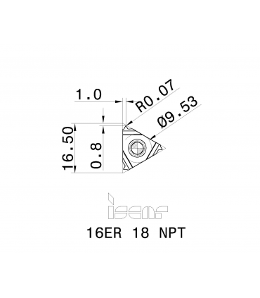 16ER 18 NPT        IC1007