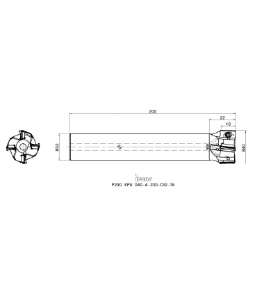 P290 EPW D40-4-200-C32-18