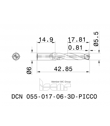 DCN 055-017-06-3D-PICCO