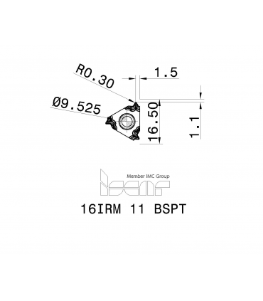 16IRM 11 BSPT      IC1007