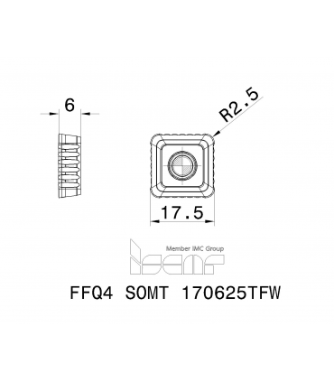 FFQ4 SOMT 170625TFW IC808
